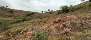 Imóvel 2939525 [''] - ['Estrada Geral Camargos No S/N Sitio Beira Rio'] [''] - ['Cerro Negro']/['SC'] - 1