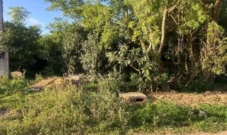 Imóvel 2630126 ['1444407372485'] - ['RUA REPUBLICA DE PIRATINI,N. 259 LT 01 QD 63, JARDIM AMERICA - CEP: 96160-000, CAPAO DO LEAO - RIO GRANDE DO SUL'] ['Jardim América'] - ['Capão Do Leão']/['RS'] - 1