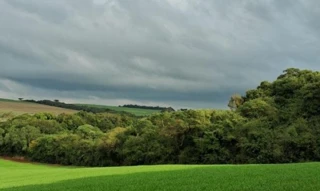 Imóvel 2517326 [''] - ['Lugar denominado Paiol Queimado, Secções Caçador e Rio Bonito'] [''] - ['Sertão']/['RS'] - 1