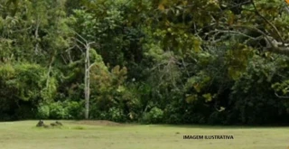 Imóvel 2653126 [''] - ['Fazenda Santa Rita do Bracuí'] ['Santa Rita do Bracuí'] - ['Angra Dos Reis']/['RJ'] - 1