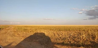 Imóvel 3013626 [''] - ['Fazenda Recreio, localizada dentro dos limites da Gleba Juína III'] [''] - ['Campos De Júlio']/['MT'] - 1