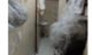 Imóvel 2664326 [''] - ['Avenida 28 de Abril, n 465'] ['Centro'] - ['Ipatinga']/['MG'] - 1