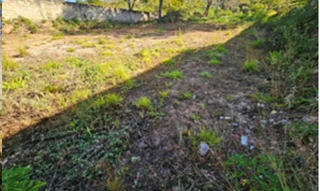 Imóvel 3010726 ['IDR189208'] - ['Rua Caminho do Rio Jordão, s/n, Lote 29, Condomínio Morada de Deus, Jardim Botânico (Lago Sul), Brasilia, DF, 71680-613'] [''] - ['Brasília']/['DF'] - 1