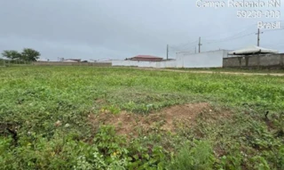 Imóvel 2664426 ['IDR186896'] - ['Rua José Joaquim Alexandre, 12, 13, 14, 15, 16, 17, 18, 19 e 20., Conjunto Lauro Maia, Campo Redondo, RN, 59230-000'] [''] - ['Campo Redondo']/['RN'] - 1