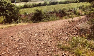 Imóvel 2719126 [''] - ['Comunidade Alto Mirim, interior, s/nº'] [''] - ['Severiano de Almeida']/['RS'] - 1