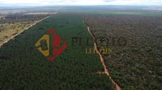 Imóvel 3054426 [''] - ['Fazenda Rio Verde, Gleba "C", situada no município e Comarca de Ribas do Rio Pardo'] [''] - ['Ribas Do Rio Pardo']/['MS'] - 1