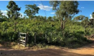 Imóvel 2899926 [''] - ['Fazenda São Lourenço do Paraíso, Minaçu/GO'] [''] - ['Minaçu']/['GO'] - 1