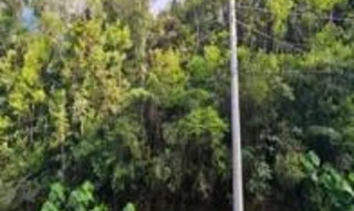 Imóvel 3030326 [''] - ['lote 01, quadra 27, Rua Vinte e Três, Viela 27, Vale das Fontes, Embu Guaçu/SP'] ['Chácara São Geraldo'] - ['Embu-Guaçu']/['SP'] - 1
