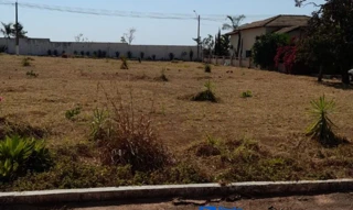 Imóvel 2839326 [''] - ['Alameda Jacaranda, quadra 08, lote 21 Olhos D`Água Alexânia GO'] [''] - ['Alexânia']/['GO'] - 1