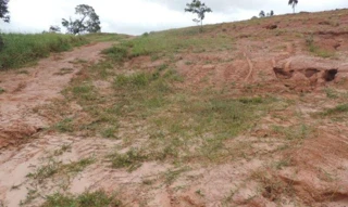 Imóvel 2562526 [''] - ['Empreendimento Riviera de Santa Cristina XIII- Setor Marina – Lote 02 Quadra “BQ”'] [''] - ['Paranapanema']/['SP'] - 1