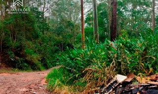 Imóvel 2590726 [''] - ['Rua Doutor João Batista Fortes, s/n'] ['Quarta Divisão'] - ['Ribeirão Pires']/['SP'] - 1