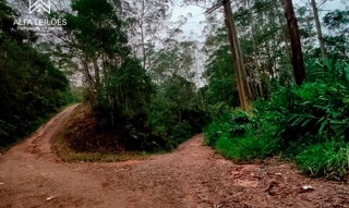 Imóvel 2590726 [''] - ['Rua Doutor João Batista Fortes, s/n'] ['Quarta Divisão'] - ['Ribeirão Pires']/['SP'] - 1