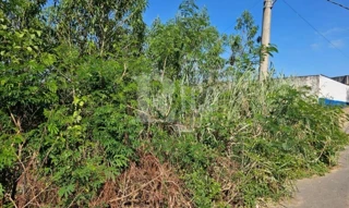 Imóvel 2598326 [''] - ['RUA JOSÉ ABBATE, S/Nº- QUADRA: O LOTE: 08'] [''] - ['São José Do Rio Pardo']/['SP'] - 1