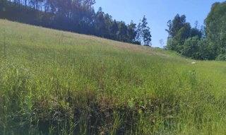 Imóvel 2609226 [''] - [''] [''] - ['Novo Horizonte']/['SC'] - 1