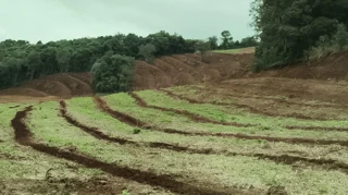 Imóvel 2609226 [''] - [''] [''] - ['Novo Horizonte']/['SC'] - 1