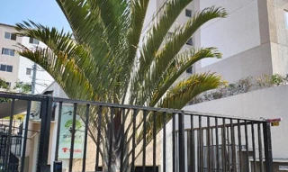 Imóvel 2535027 ['8787705841433'] - ['ESTRADA JOAO DE ABREU,N. 214 APTO. 404 BLOCO 06, MONJOLOS - CEP: 24723-190, SAO GONCALO - RIO DE JANEIRO'] ['Monjolos'] - ['São Gonçalo']/['RJ'] - 1