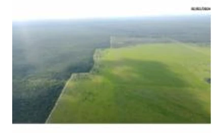 Imóvel rural em Brasnorte, , Rodovia BR 364, MT. Área: 2324083m2 - imagem 0