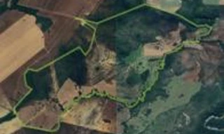 Imóvel 2601427 [''] - ['Fazenda c/ 403,2668 hectares, denominado Fazenda Canoa'] [''] - ['Vila Propício']/['GO'] - 1