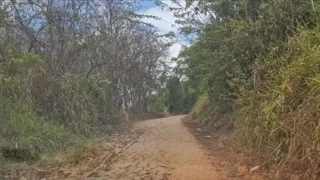 Imóvel 2665327 [''] - ['Agua Preta, Engenho Tamatiao'] [''] - ['Água Preta']/['PE'] - 1