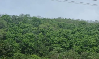 Imóvel rural em Erechim, Paiol Grande, Linha 01, Secção Paiol Grande, RS. Área: 75799.65m2