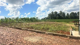 Imóvel 2569427 [''] - ['- Loteamento Residencial Bem Morar'] [''] - ['Sarandi']/['RS'] - 1