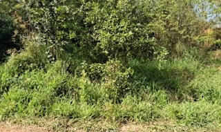 Imóvel 2673827 ['8444407748564'] - ['RUA CANGUCU,N. SN FRACAO 04 LT 10 QD K, TIJUCA - CEP: 94836-220, ALVORADA - RIO GRANDE DO SUL'] ['Maria Regina'] - ['Alvorada']/['RS'] - 1