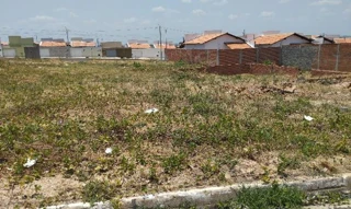 Imóvel 2379127 ['8444425345301'] - ['AV DR. JOSUE MOURA SANTOS,N. SN LT 33 QD AP, ALEGRE - CEP: 64000-000, TERESINA - PIAUI'] [''] - ['Teresina']/['PI'] - 1