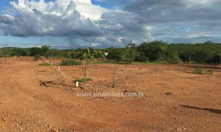 Imóvel 2986927 [''] - ['Rua Projetada, 90, Distrito 06, Setor 03, Quadra 44, Lote 90, Carnaíba Velha'] [''] - ['Carnaíba']/['PE'] - 1