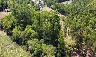 Imóvel 3055327 [''] - ['Rodovia RS/332, sn (Lote 21-E da Quadra 133)'] [''] - ['Encantado']/['RS'] - 1