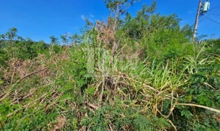 Imóvel 2598327 [''] - ['RUA JOSÉ ABBATE, S/Nº- QUADRA: O LOTE: 07'] [''] - ['São José Do Rio Pardo']/['SP'] - 1