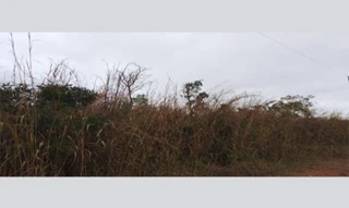 Imóvel 3060227 [''] - ['Rua SD 113 21813 S/N (Lote 01 da Quadra 04)'] ['Mapim'] - ['Várzea Grande']/['MT'] - 1