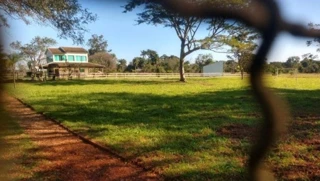 Imóvel 2994528 [''] - ['Rua Mairipora, 272, Anhandui, Campo Grande, MS'] [''] - ['Campo Grande']/['MS'] - 1