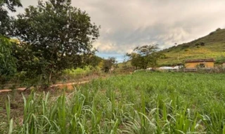 Imóvel 2699828 [''] - ['Gleba Rural, s - Fazenda Bom Jardim - Zona Rural - Tombos / MG'] [''] - ['Tombos']/['MG'] - 1