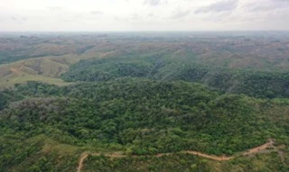 Imóvel 3014028 [''] - ['Fazenda RANGEL na zona rural do município de Bambuí'] [''] - ['Bambuí']/['MG'] - 1