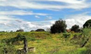 Imóvel 2571628 [''] - ['Fazenda Buriti'] [''] - ['Montes Claros De Goiás']/['GO'] - 1