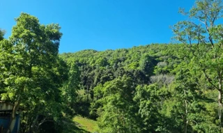 Imóvel 2521528 [''] - ['Núcleo Rio Ligeiro, distrito do Município de Floriano Peixoto'] [''] - ['Floriano Peixoto']/['RS'] - 1