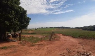 Imóvel 2577328 [''] - ['FAZENDA ÁGUA LIMPA, NO DISTRITO E MUNICIPIO DE ALTO ALEGRE'] [''] - ['Alto Alegre']/['SP'] - 1