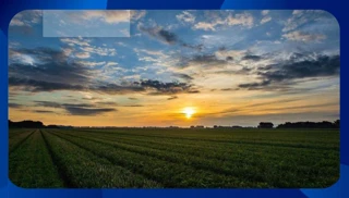 Imóvel 2542828 [''] - ['LOTES - Nº 09, 10, 11, 12 e 13, Quadra B, Loteamento Nossa Senhora Aparecida, Rodovia PE-320, KM 38, Riacho da Velha'] [''] - ['Flores']/['PE'] - 1