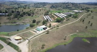 Imóvel 2719728 [''] - ['PE 085, S/N'] [''] - ['Bonito']/['PE'] - 1