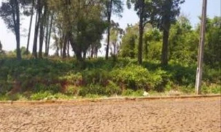 Imóvel 2601028 [''] - ['Rua Rafael Augusto Braganholo, lote 11, quadra 53, Virmond/PR'] [''] - ['Virmond']/['PR'] - 1