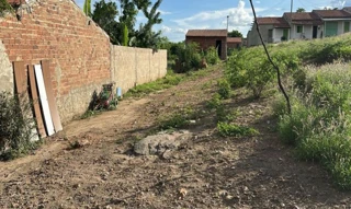 Imóvel 3045028 [''] - ['Rua Projetada 3, s/n, Quadra B, Loteamento Cristo Redentor, Carnaíba, PE, 56820-000, Rua Projetada 3, Carnaíba, PE, 56820-000'] [''] - ['Carnaíba']/['PE'] - 1