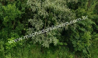 Imóvel 2713128 [''] - ['Av. Alberto Paqualini, lado ímpar, s/n'] [''] - ['Braga']/['RS'] - 1