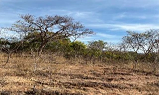 Imóvel 2609428 [''] - ['Nao informado Nao informado Fazenda Sao Vicente ou Santa Tereza'] [''] - ['outras']/['na'] - 1