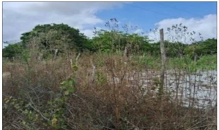 Imóvel 2895328 [''] - ['Rua E, s/n - Terreno - Lotes 13 ao 50 da Quadra 27 - Curimatã - Pacajus / CE'] [''] - ['Pacajus']/['CE'] - 1