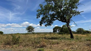 Imóvel 2568828 [''] - ['Área Pública Municipal nº 06 - Quadra 14, Loteamento Residencial Valente II'] [''] - ['Posse']/['GO'] - 1
