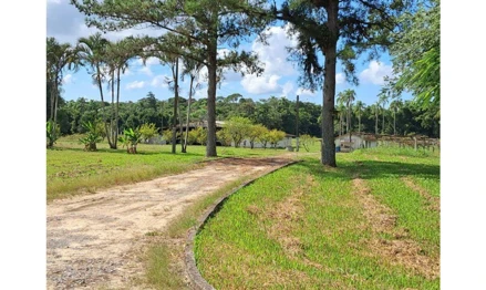 Terreno em São Francisco do Sul, Praia Bonita, Estrada Geral da Vila da Glória, 16, Praia Bonita, SC. Área: 204814.72m2