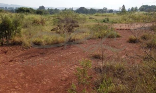 Imóvel 2625628 [''] - ['Via Francisco Botti, s/nº - Pinhal - Cabreúva - SP'] ['Pinhal'] - ['Cabreúva']/['SP'] - 1