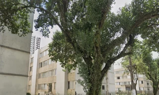 Imóvel 2942929 [''] - ['Rua Azevedo Soares, nº 1.359, apartamento nº 17 e Vaga de Garagem nº 85, Vila Gomes Cardim, São Paulo, SP'] ['Vila Itaberaba'] - ['São Paulo']/['SP'] - 1