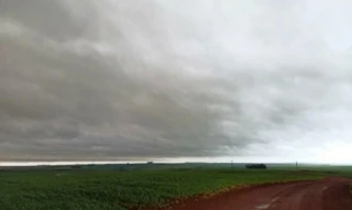 Imóvel 2640729 [''] - ['Estrada Municipal, s/n - Fazenda Santo Agostinho - Zona Rural - Tupanciretã / RS'] [''] - ['Tupanciretã']/['RS'] - 1