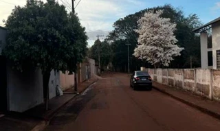 Imóvel 2609429 [''] - ['Rua Francisco Araujo 226 (Lote 06 da Quadra 09)'] ['Jerônimo Mendonça'] - ['Ituiutaba']/['MG'] - 1